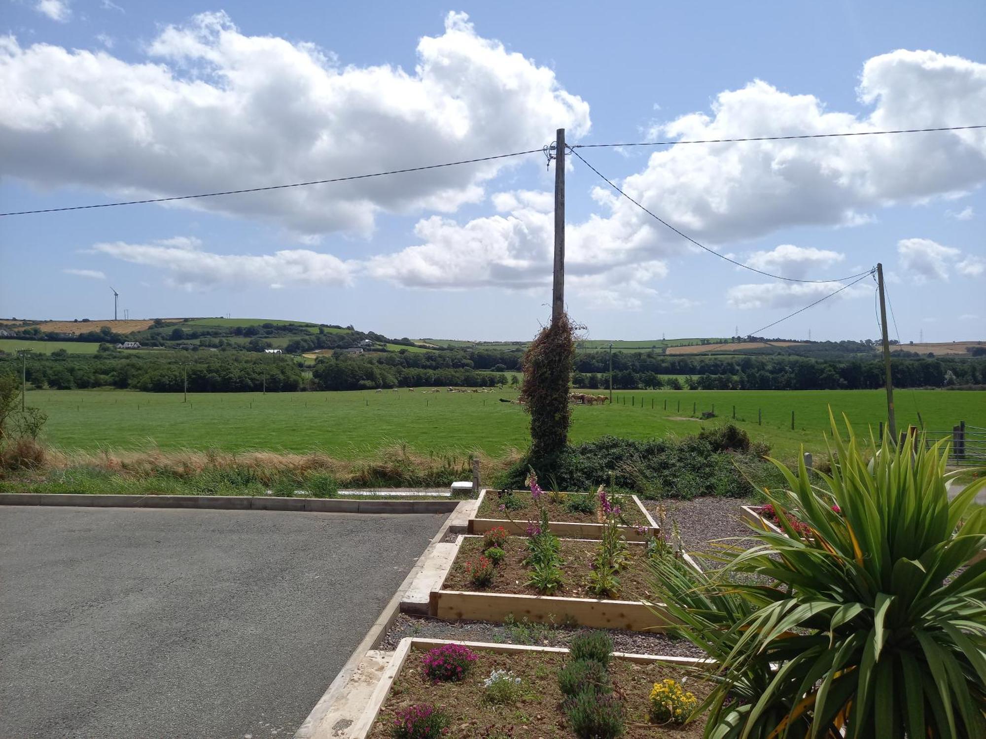 Teach Na Coille B&B Midleton Dış mekan fotoğraf