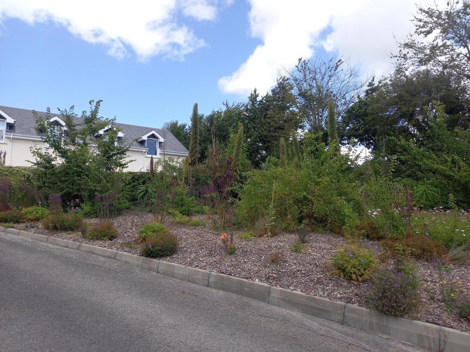 Teach Na Coille B&B Midleton Dış mekan fotoğraf