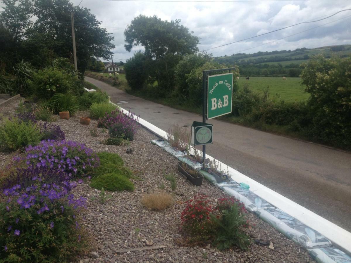 Teach Na Coille B&B Midleton Dış mekan fotoğraf